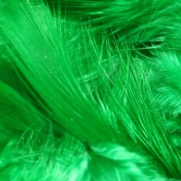 Metz Soft Hackle highlander green