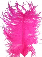 Ostrich plumes strutsherl fluo pink