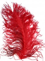 Ostrich plumes strutsherl red